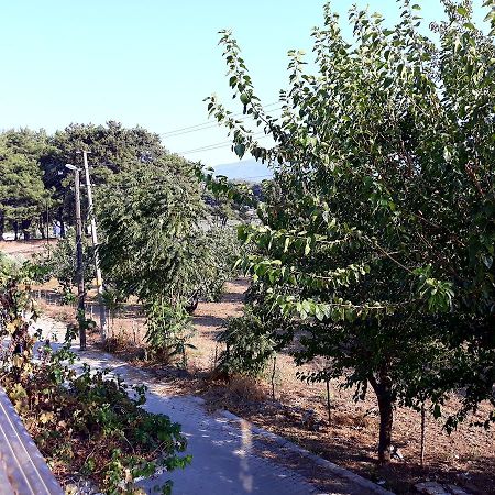 Can Efes Hotel Сельчук Экстерьер фото